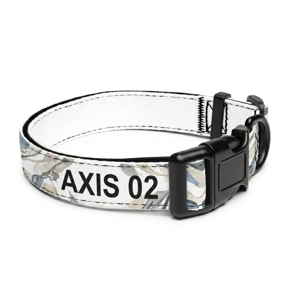 Custom Custom Pet Collar design direction 1: Abstract Geometric Pattern featuring the AXIS 02 wordmark