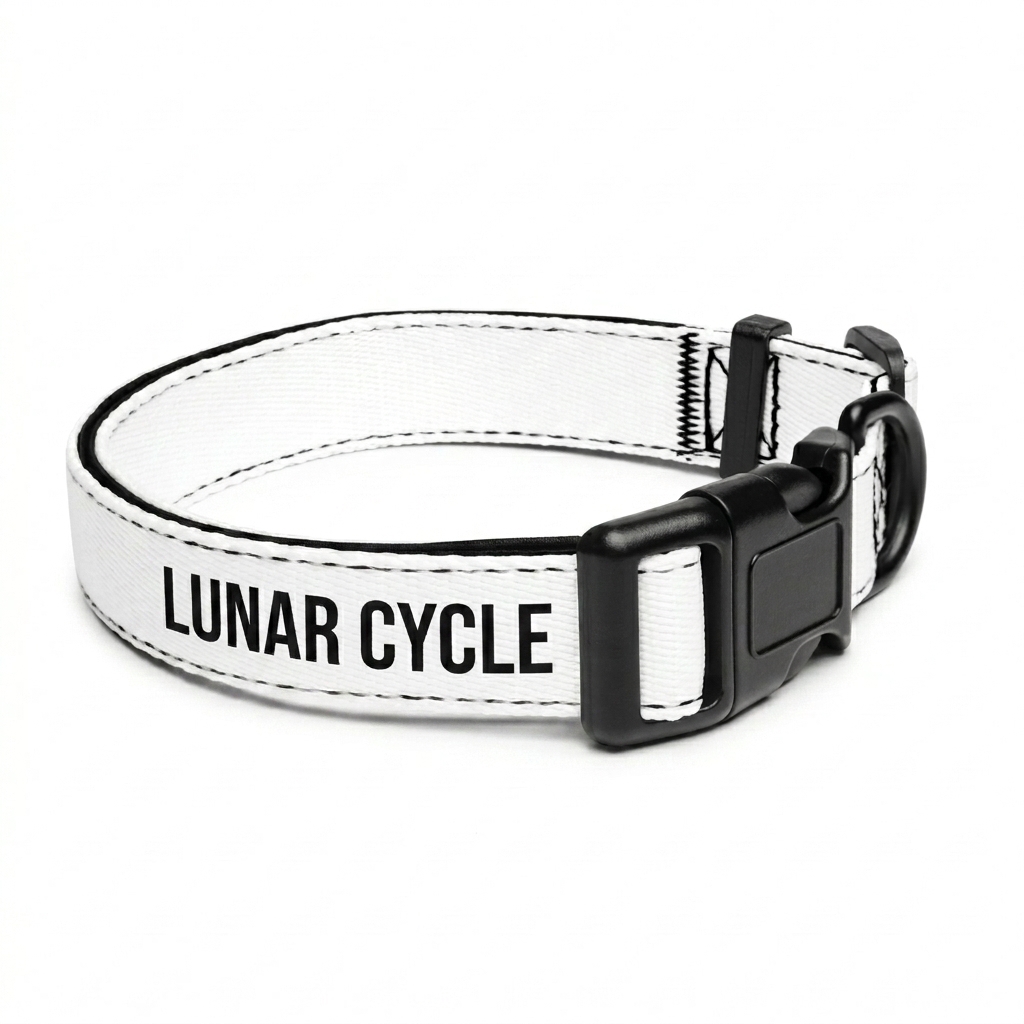 Custom Custom Pet Collar design direction 3: Retro Wave Gradient featuring the LUNAR CYCLE wordmark