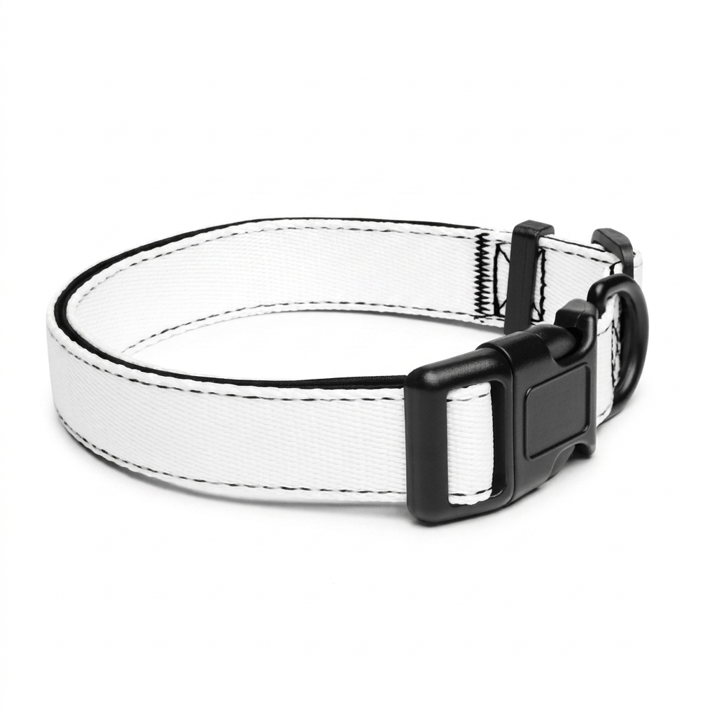 Custom Custom Pet Collar — Accessories