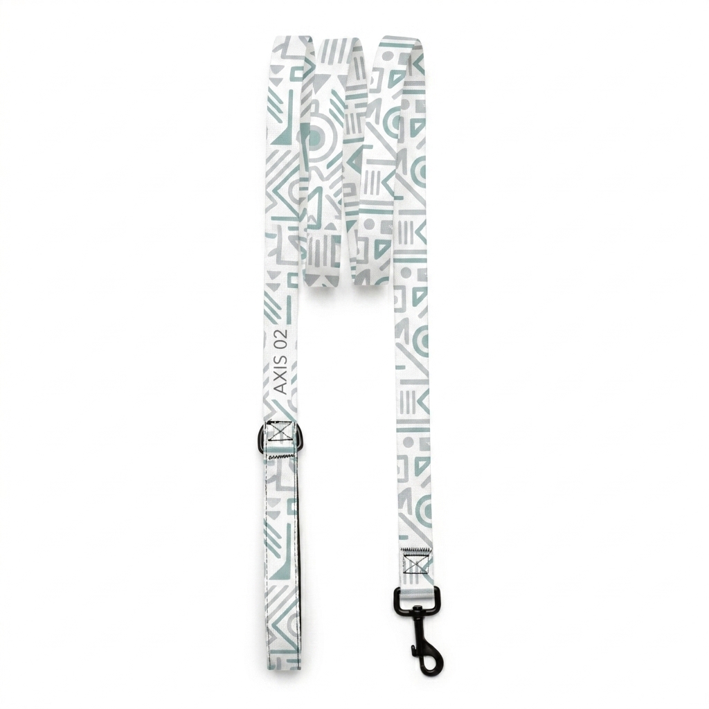Custom Custom Pet Leash design direction 1: Minimalist Geometric Pattern featuring the AXIS 02 wordmark